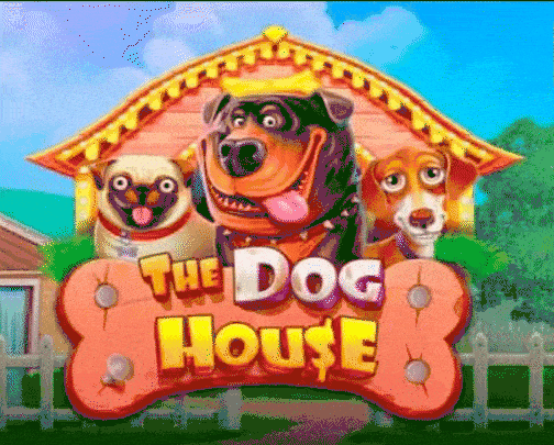 Play The Dog House in Hook Casino